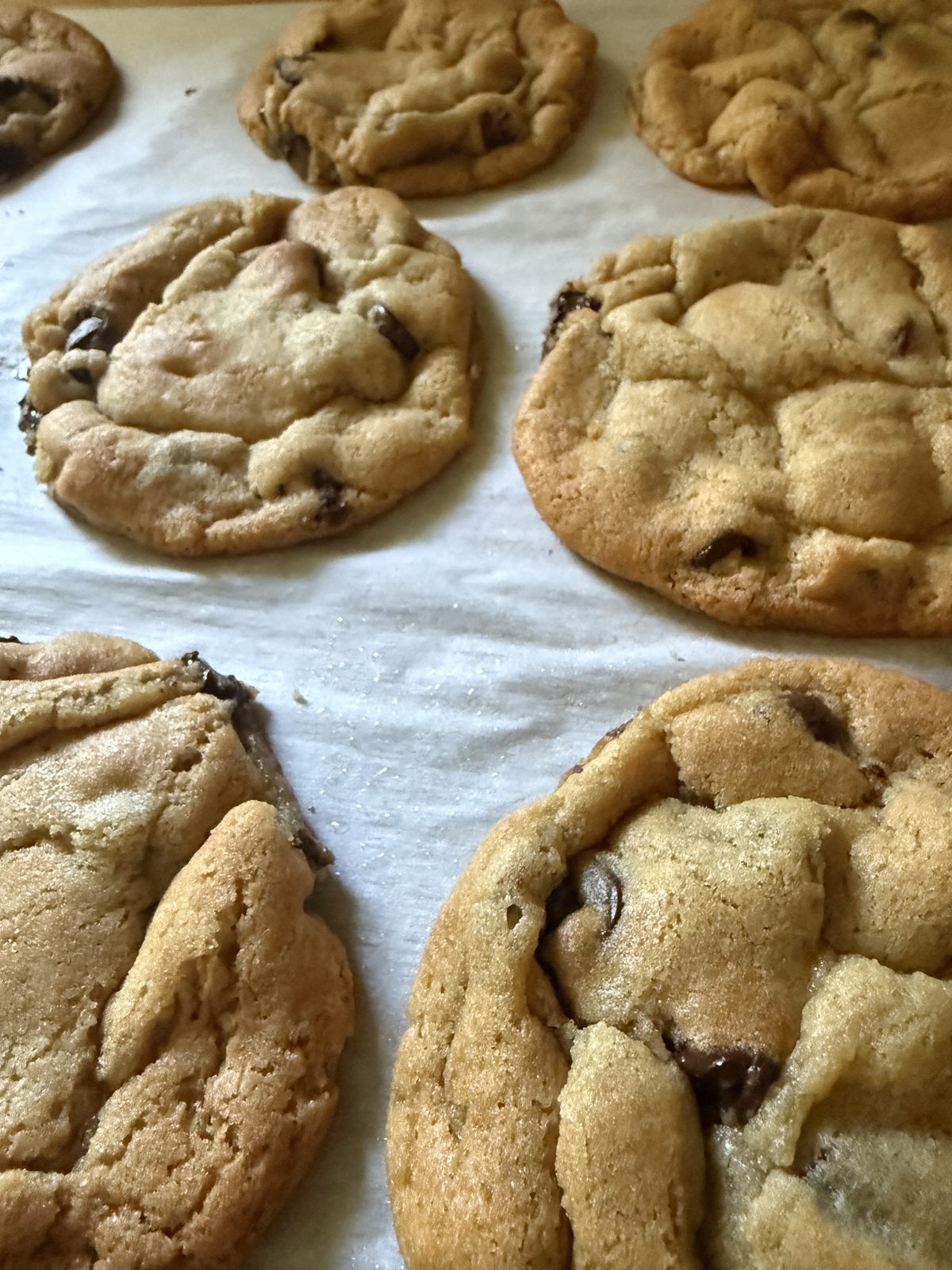 Chocolate Chip Cookies